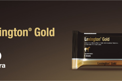 Lexington® Gold: Para uma saúde de ferro, a vacina que é ouro na proteção.